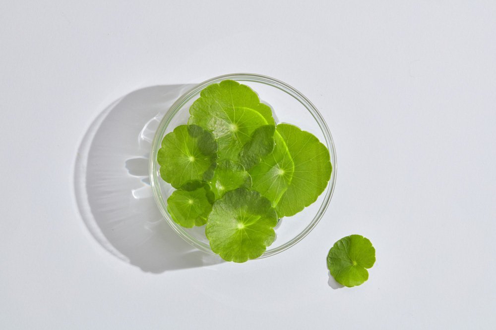 centella